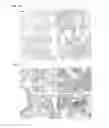 Fig. 12 - Nanoparticles for Targeted Delivery of Active Agents to the Lung