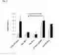 Fig. 13 - Nanoparticles for Targeted Delivery of Active Agents to the Lung