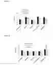 Fig. 16 - Nanoparticles for Targeted Delivery of Active Agents to the Lung