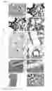 Fig. 19 - Nanoparticles for Targeted Delivery of Active Agents to the Lung