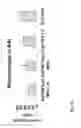 Fig. 26 - Nanoparticles for Targeted Delivery of Active Agents to the Lung