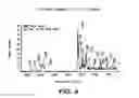 Fig. 06 - Crystal Forms of 2--Adenosine