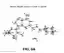 Fig. 08 - Crystal Forms of 2--Adenosine