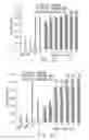 Fig. 08 - FUNCTIONALIZED POLYMER NANOPARTICLES AND THE PHARMACEUTICAL USE THEREOF