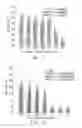Fig. 09 - FUNCTIONALIZED POLYMER NANOPARTICLES AND THE PHARMACEUTICAL USE THEREOF