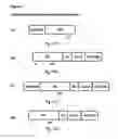 Fig. 02 - Protein fusion constructs possessing thrombolytic and anticoagulant properties