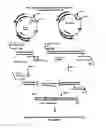 Fig. 07 - Protein fusion constructs possessing thrombolytic and anticoagulant properties