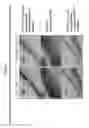 Fig. 04 - ADAMTS13-containing compositions having thrombolytic activity