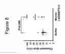 Fig. 09 - ADAMTS13-containing compositions having thrombolytic activity