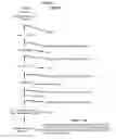 Fig. 03 - Methods of use of soluble CD24 for therapy of rheumatoid arthritis