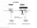 Fig. 07 - Methods of use of soluble CD24 for therapy of rheumatoid arthritis