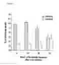 Fig. 31 - Pulmonary administration of immunoglobulin single variable domains and constructs thereof