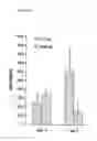 Fig. 35 - Pulmonary administration of immunoglobulin single variable domains and constructs thereof