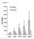 Fig. 37 - Pulmonary administration of immunoglobulin single variable domains and constructs thereof