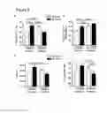 Fig. 06 - Soluble endoglin and uses thereof