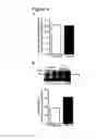 Fig. 10 - Soluble endoglin and uses thereof