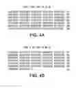 Fig. 05 - Human CTLA-4 antibodies and their uses