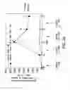 Fig. 25 - Human CTLA-4 antibodies and their uses