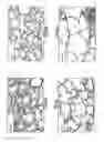Fig. 06 - Methods, compositions and kits relating to chitnases and chitnase-like molecules and inflammation disease