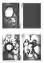 Fig. 13 - Methods, compositions and kits relating to chitnases and chitnase-like molecules and inflammation disease