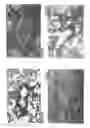 Fig. 16 - Methods, compositions and kits relating to chitnases and chitnase-like molecules and inflammation disease