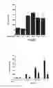 Fig. 18 - Methods, compositions and kits relating to chitnases and chitnase-like molecules and inflammation disease