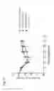 Fig. 08 - Compositions, methods and uses for poxvirus elements in vaccine constructs
