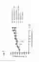 Fig. 09 - Compositions, methods and uses for poxvirus elements in vaccine constructs