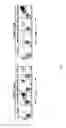 Fig. 04 - Recombinant HCMV and RHCMV vectors and uses thereof