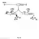 Fig. 19 - Recombinant HCMV and RHCMV vectors and uses thereof