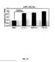 Fig. 22 - Recombinant HCMV and RHCMV vectors and uses thereof