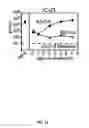 Fig. 24 - Recombinant HCMV and RHCMV vectors and uses thereof