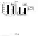 Fig. 25 - Recombinant HCMV and RHCMV vectors and uses thereof