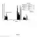 Fig. 32 - Recombinant HCMV and RHCMV vectors and uses thereof