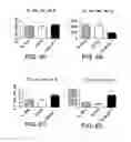 Fig. 06 - Methods for treating respiratory viral infection