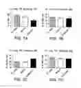 Fig. 08 - Methods for treating respiratory viral infection