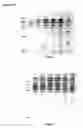 Fig. 02 - CHEWING GUM BASES CONTAINING SOY PROTEIN BASED ELASTOMERS AND METHODS OF MAKING SAME