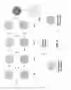 Fig. 03 - MULTI-CELL MOCVD APPARATUS