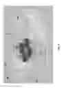 Fig. 05 - MULTI-CELL MOCVD APPARATUS