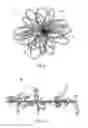 Fig. 08 - Stuffed article