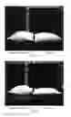 Fig. 09 - Stuffed article