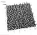 Fig. 01 - Metal dewetting methods and articles produced thereby
