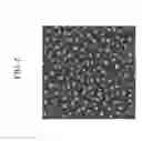 Fig. 07 - Metal dewetting methods and articles produced thereby