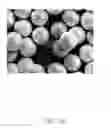 Fig. 06 - Lithium ion phosphate hierarchical structure, method for making the same, and lithium ion battery using the same