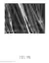 Fig. 07 - Lithium ion phosphate hierarchical structure, method for making the same, and lithium ion battery using the same