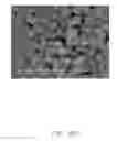 Fig. 09 - Lithium ion phosphate hierarchical structure, method for making the same, and lithium ion battery using the same