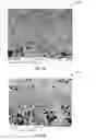 Fig. 04 - Solid oxide fuel cell interconnect cells