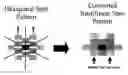 Fig. 02 - Methods and compositions for incorporating nucleotides