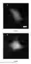 Fig. 08 - Methods for nano-mechanoporation