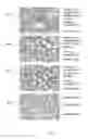 Fig. 09 - METHOD AND SYSTEM FOR AUTOMATED DEPARAFFINIZATION AND NON-IMMUNOHISTOCHEMICAL SPECIAL STAINING OF TISSUE SAMPLES